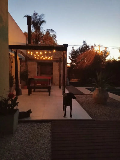Barbacoa 🏡
